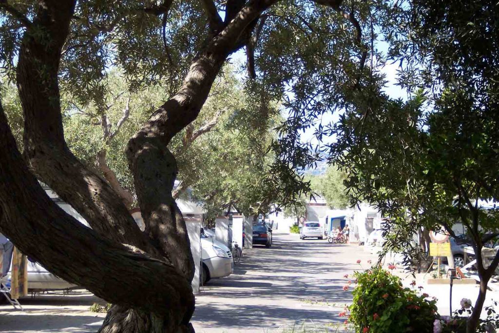 Viale del campeggio